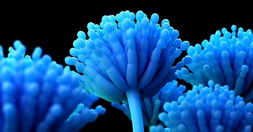 食品安全關乎我們健康,使用儀器快速檢測防止不健康的產品